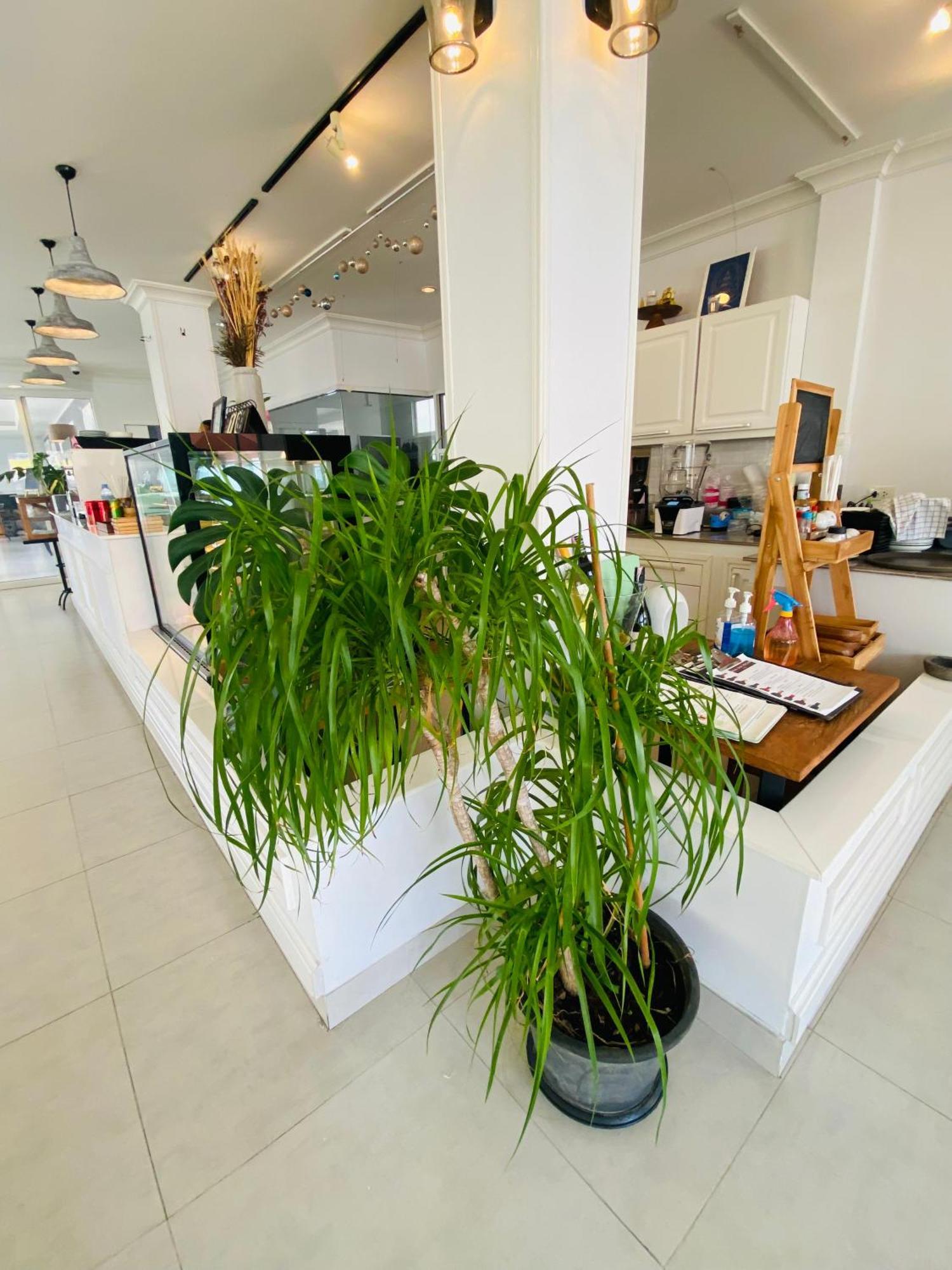 Forget Me Not Boutique Bed & Breakfast Hua Hin Bagian luar foto